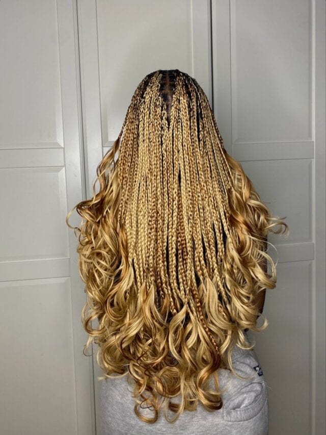 60-french-curl-braids-hairstyles-to-try-in-2026