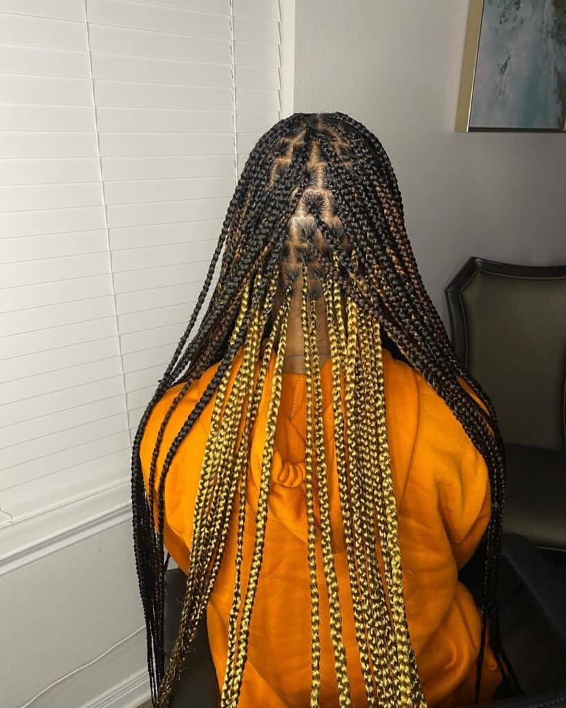 color 27 peekaboo braids