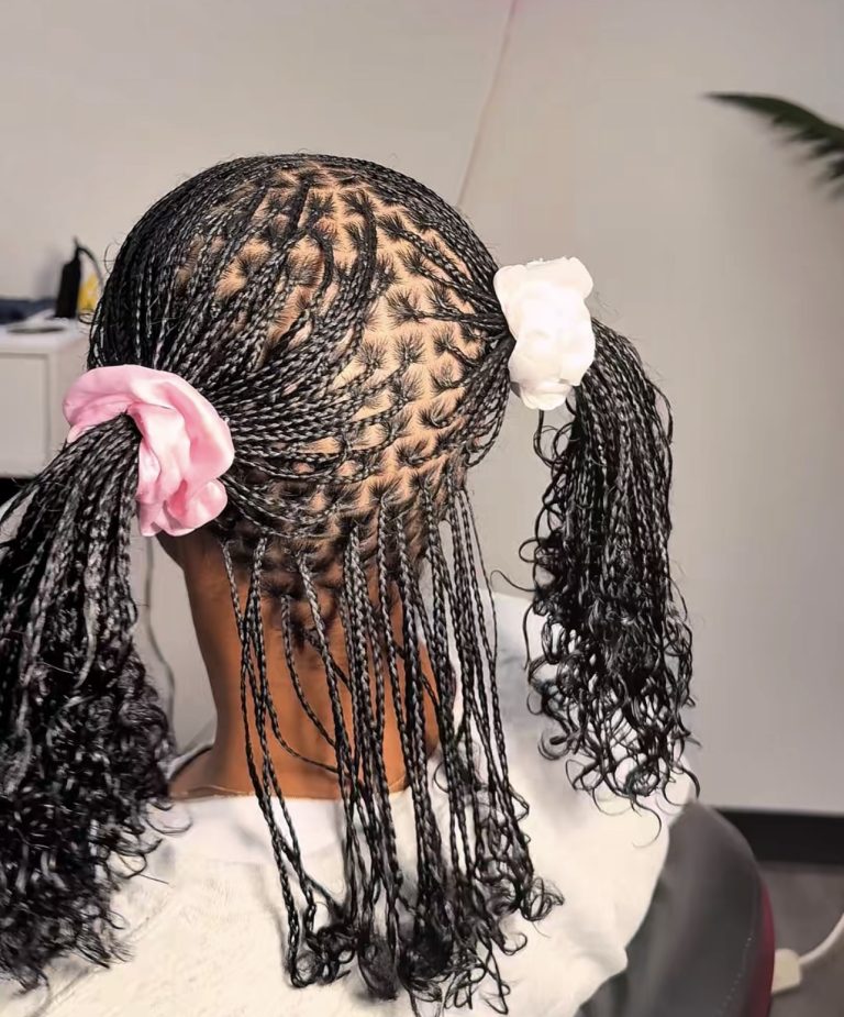 20 Cute Natural Hair Mini Braids & How To Style Ideas